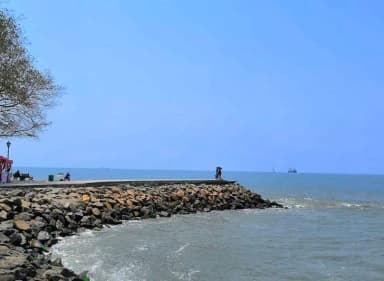 Kerala Tour Package (Cochin-Munnar-Thekkady-Alleppey)