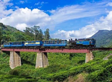 Mysore Coorg Ooty Tour Package