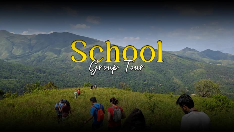 School Tours Packages