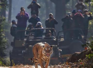 Jim Corbett National Park Tour Package
