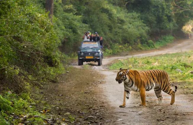 Jim Corbett National Park  Tour Package