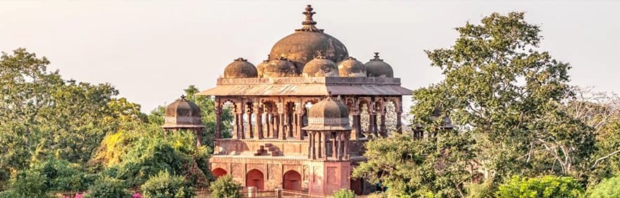 Bharatpur Sariska Ranthambore wildlife Tour Packages