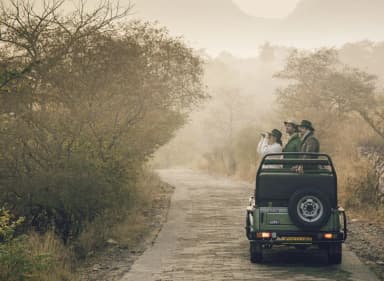 Bharatpur Sariska Ranthambore wildlife Tour Packages
