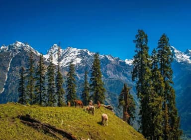 Shimla Manali Tour Package