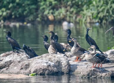 Aurangabad Tour Packages