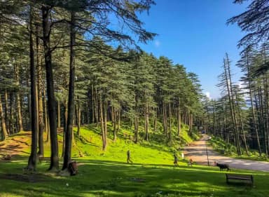 Vaishno Devi Tour Package